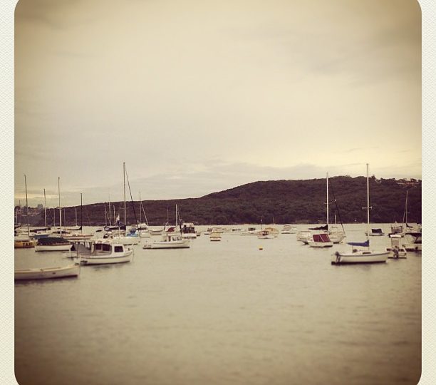 Good morning Sydney.