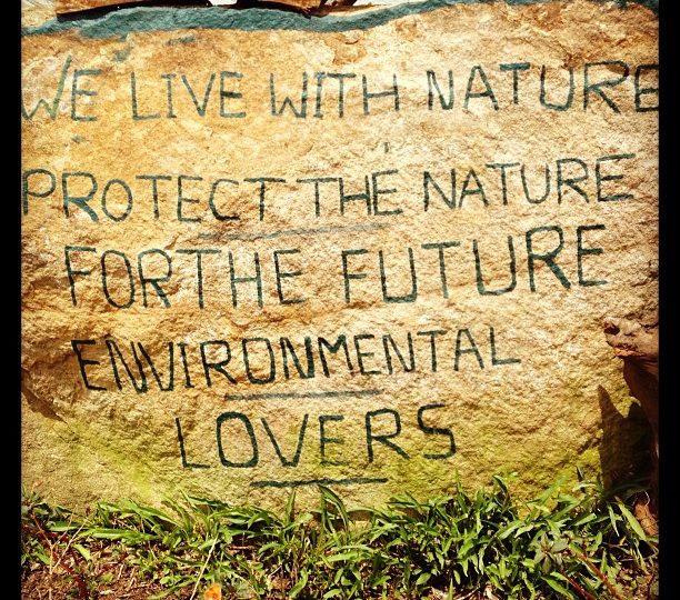 The way crops are grown, can make all the difference, to us and generations to come. Choose wisely. Choose organic.