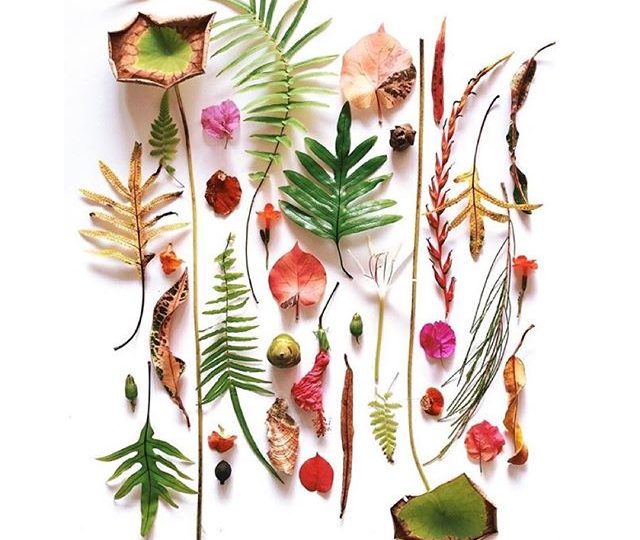 T H E B E A U T Y O F N A T U R E  love this  by the amazing @omjsk