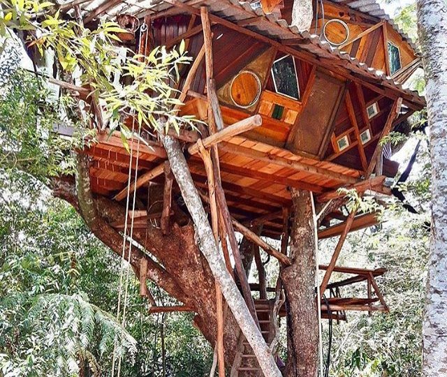 home amongst the tree tops????  @hippieartesanatos
