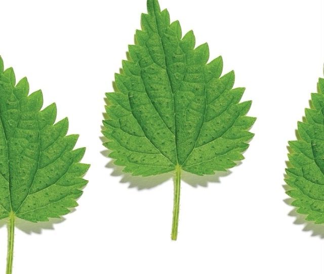 ? TWO ? Two more days until reveal and we are SO incredibly excited!