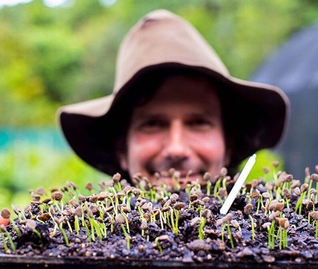 Our friends over at @protect_rainforests_forever need your help. They have set up a nursery in the Daintree, where they currently grow rainforest seedlings for regeneration every year, but they desperately need electricity to continue their efforts. With just 3 days to go on their crowd funding campaign, they need your help to hit their target and power up their seedling nursery. You can read more and pledge to help them reach their targets via the link in our bio  Photo by @martinstringerphotography