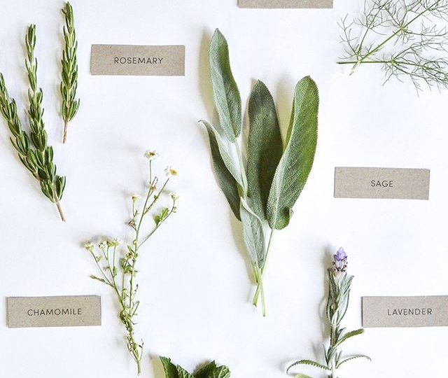 ? Our monthly newsletter hits inboxes this week, and it’s full of great advice from our naturopath Emma, as well as a few specials on her favourite blends for a healthier year ? Don’t forget to sign up – head to our website and sign up at the bottom of the home page.