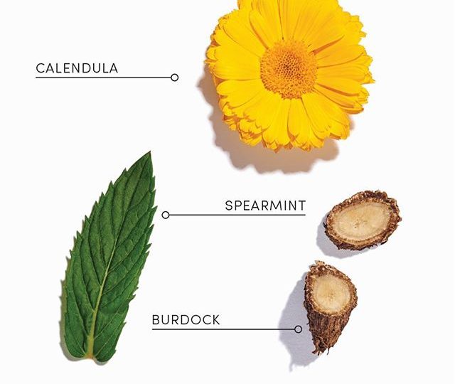 Our naturopath has carefully selected this blend of organic herbs to help support healthy, clear skin. Herbs used in this blend, including calendula, red clover and burdock root have traditionally been used to help reduce inflammation, improve clearance of toxins, and filter impurities from the skin and blood. This is a light and refreshing blend of earthy botanicals, balanced with tones of mint.