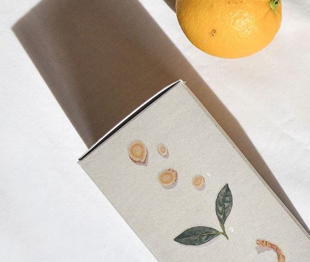 Have you ever wondered which of our 18 wellness blends would be most beneficial for you? Our Concern menu on our website makes it really easy to sort through our blends, and to find a tea that is right for you. We’ve covered everything from Allergies to Skin Conditions, Indigestion and Stress, through to the different stages of Pregnancy, and we have a range of blends suited to each health concern  Simply head to lovetea.com.au to find the Concern section within our Shop menu. Link in bio.