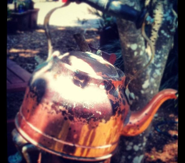 Instagram Image