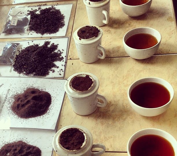 Tea tasting time (favourite part of the day!)