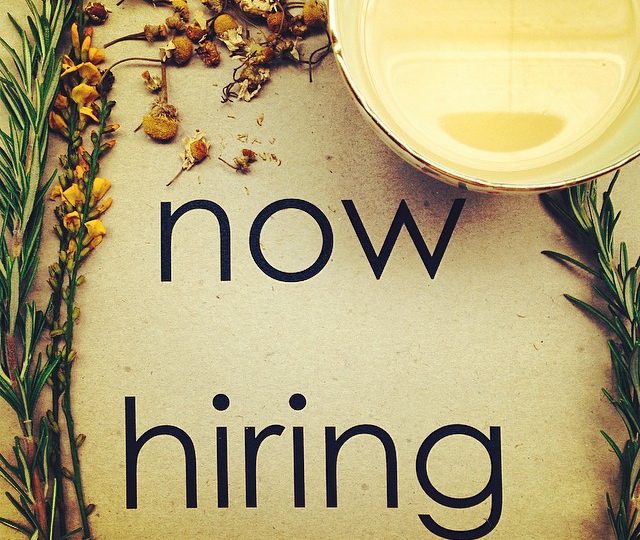We are currently on the look out for new team players. Two positions available, if interested, see links below. We look forward to sharing the tea journey with you!