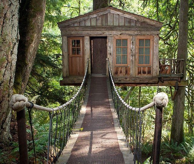 dreaming of spending the weekend here…sipping tea, amongst the trees. ???? Treehouse point. Oregon.