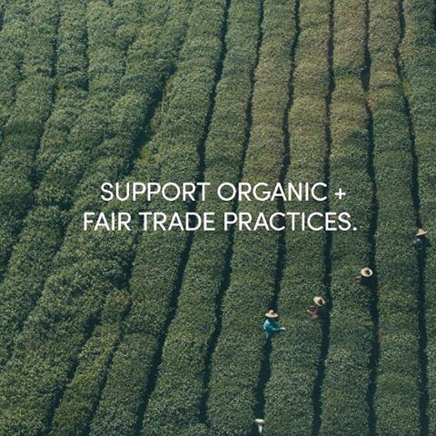 We choose to source our ingredients from certified organic plantations around the world. Wherever possible, we work with certified Fair trade plantations and support fair working conditions for communities, growers and their families. We aim to continue to support practices which ensure minimal impact on our environment, and fairer working conditions for the important people along this journey