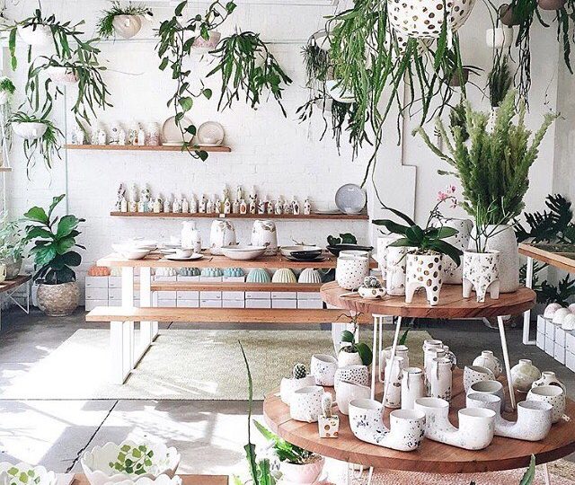 During winter we spend a lot less time out doors in nature. Bring the outdoors in and surround yourself with nature. Beautiful  from @gunnandjackson What’s your favourite indoor plant?