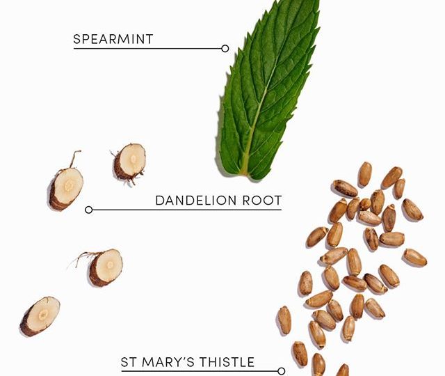 L I V E R  C L E A N S E  Our naturopath has carefully selected this blend of organic herbs, to support healthy liver function and aid detoxification. Ingredients including St Mary’s thistle, schizandra and dandelion, offer therapeutic qualities that have traditionally been used to repair and protect the cells of the liver and aid the clearance of toxins. This blend offers a smooth, refreshing taste, with subtle hints of mint and hibiscus.