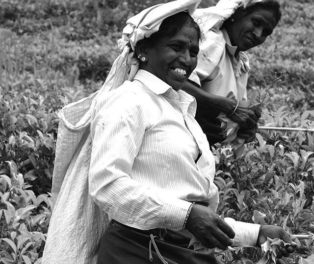 We fairly source the majority of our ingredients directly from the growing communities and cooperatives who produce them. We pay fair trade premiums for the ingredients purchased from fair trade farms, and continually strive to learn more about the challenges that the growers face in their regions ????